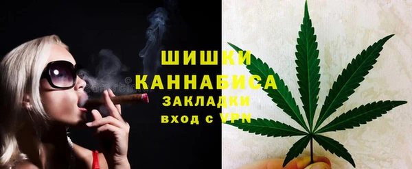 ГАЛЛЮЦИНОГЕННЫЕ ГРИБЫ Алексин