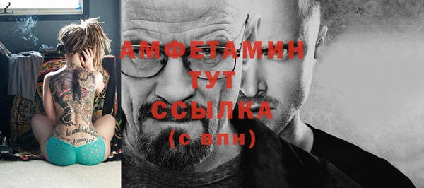 ГАЛЛЮЦИНОГЕННЫЕ ГРИБЫ Алексин