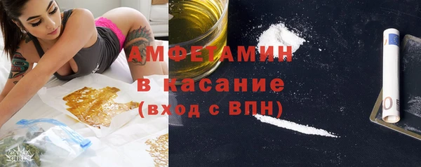 прущие грибы Алзамай
